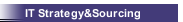 IT Strategy&Sourcing